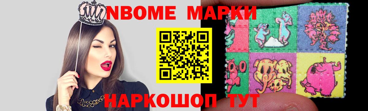 Псилоцибиновые грибы Кудрово