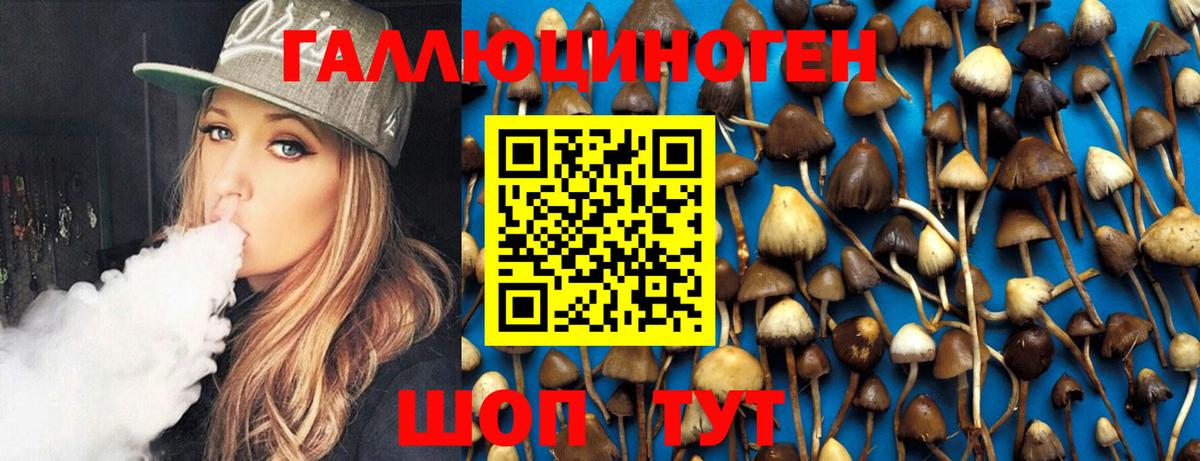 Псилоцибиновые грибы Cubensis Кудрово