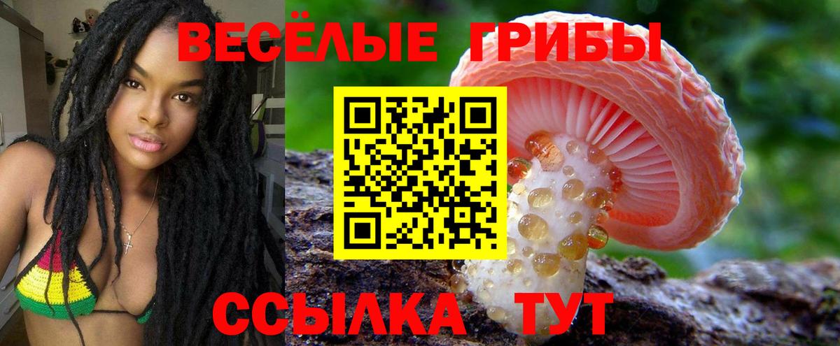 Кудрово  Псилоцибиновые грибы MAGIC MUSHROOMS  Вход с VPN  Галлюциногенные грибы прущие грибы 